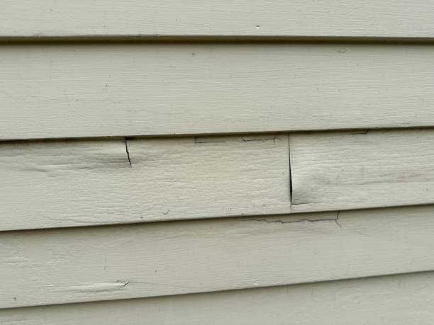 Best Fiber Cement Siding Installation  in USA